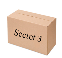 train the trainer secret 3