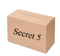 train the trainer secret 5